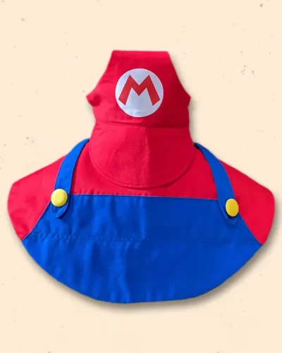 Mario / Luigi