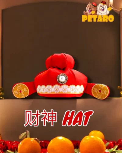 财神帽 Fortune God Hat