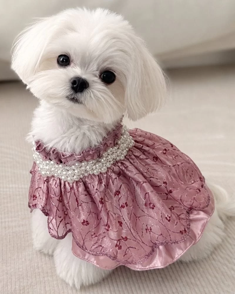 Custom Apron - Pink