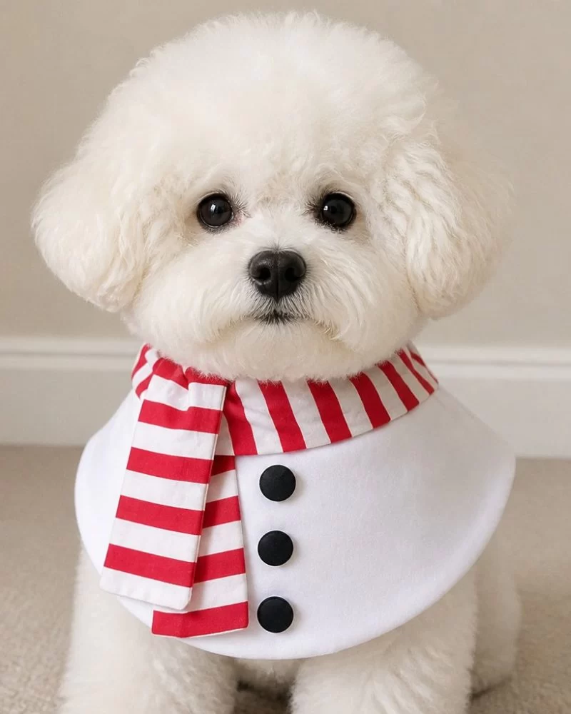 Snowman Bib