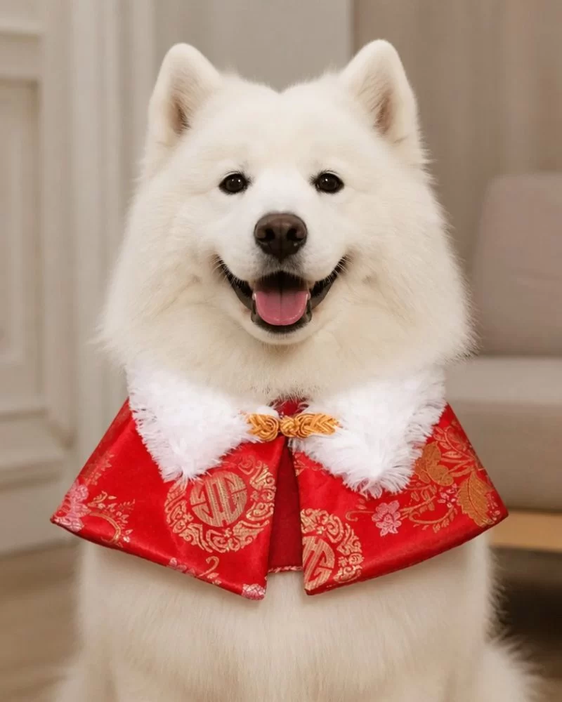 CNY Furry Collar