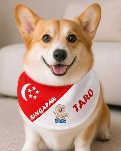 Customizable Bib for SG National Day (pre order)